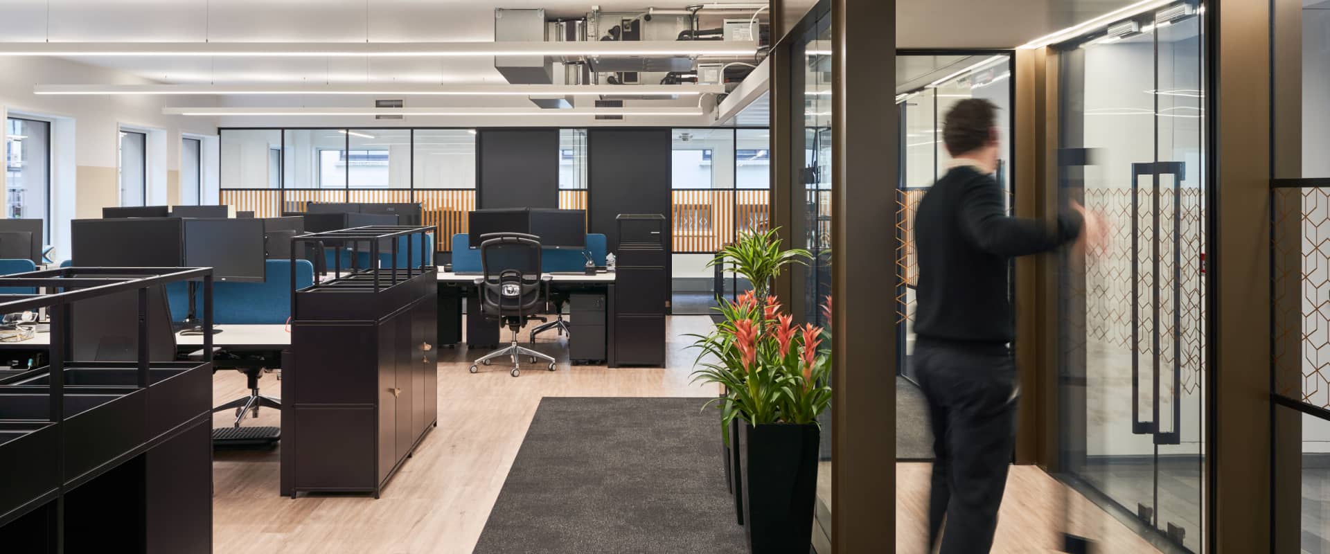 modern workspace design fit out for Brightbay by Cleo d&b