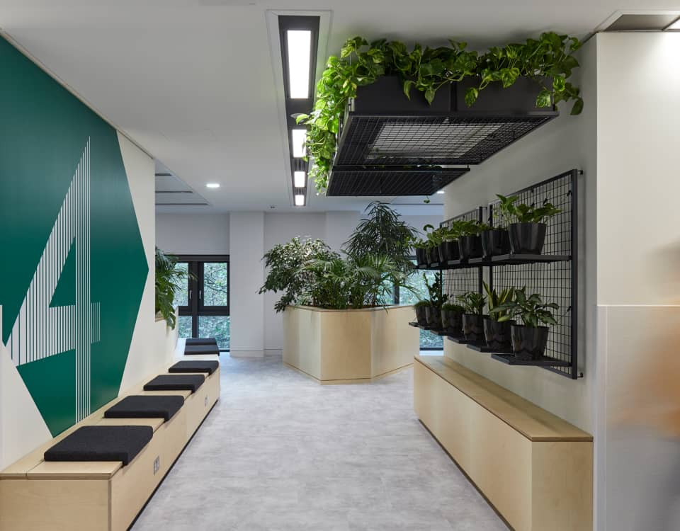 Sustainable and green office design for Hearst UK, by Cleo expert in workplace fit outs London